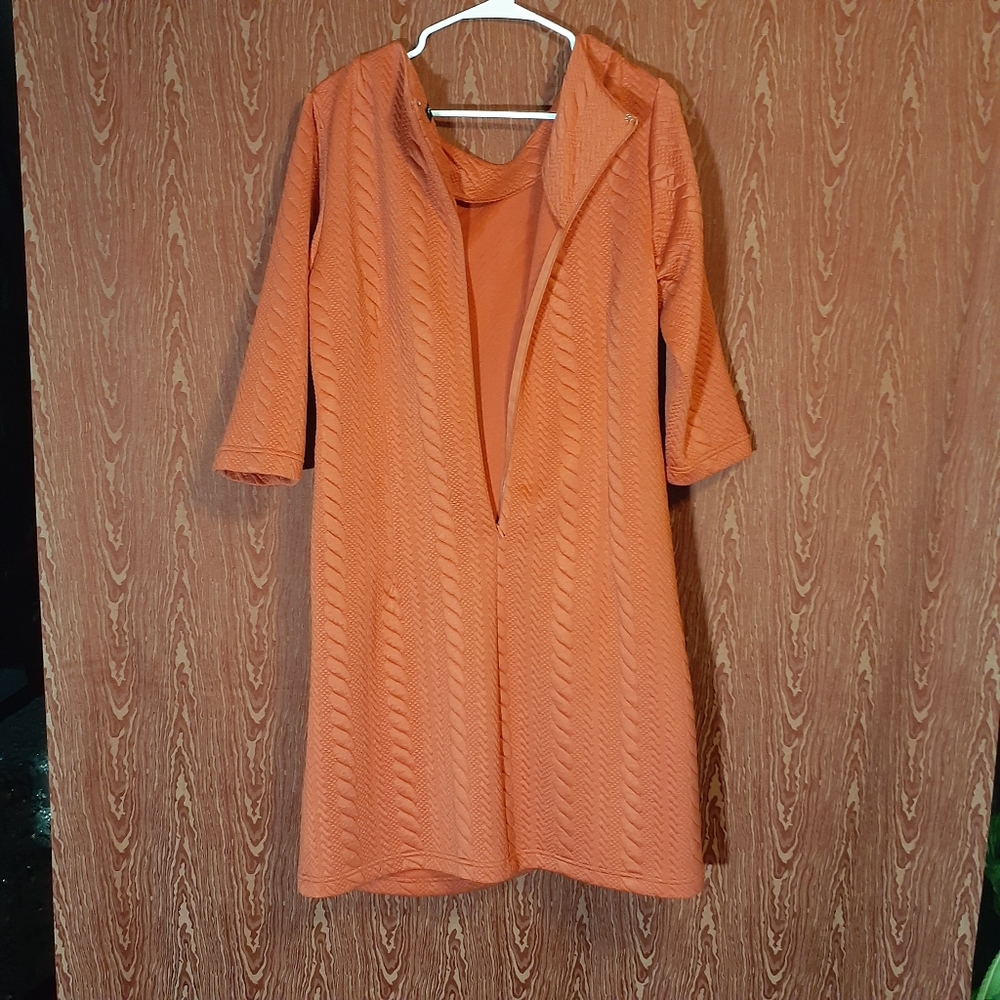 SHARAGANO WOMEN BURNT ORANGE DRESS WOMEN'S SIZE 14W - Picture 3 of 7